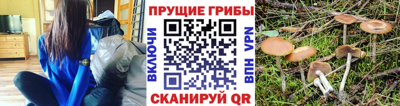 Псилоцибиновые грибы мицелий  Купить закладки  Котельниково 